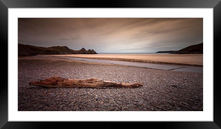  Driftwood at Three Cliffs Bay Framed Mounted Print by Leighton Collins