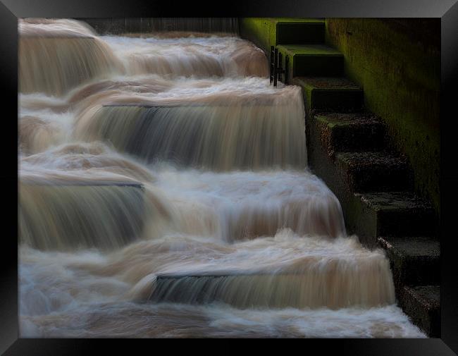  Fish Ladder Framed Print by Leighton Collins