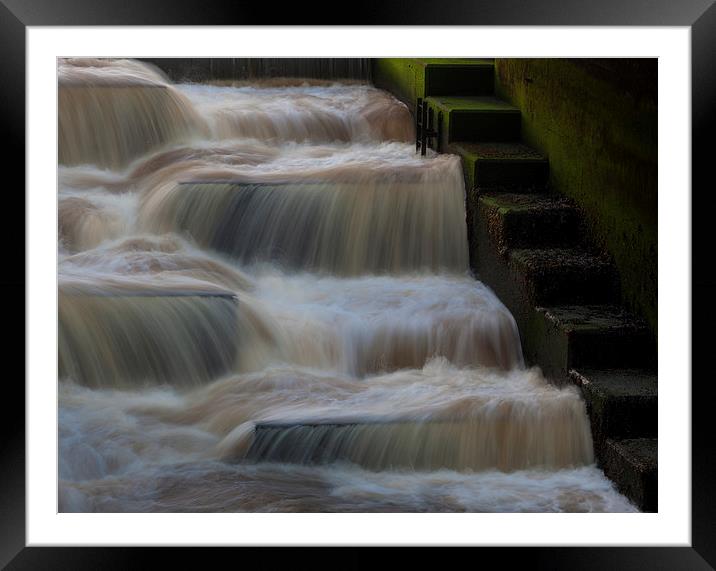  Fish Ladder Framed Mounted Print by Leighton Collins