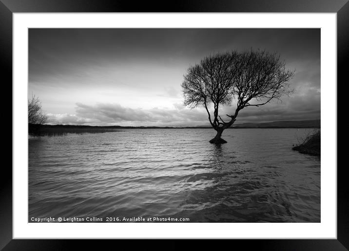 Kenfig Pool Framed Mounted Print by Leighton Collins