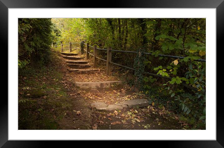 Autumn steps Framed Mounted Print by Leighton Collins