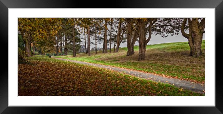Morning at Ravenhill Park Framed Mounted Print by Leighton Collins