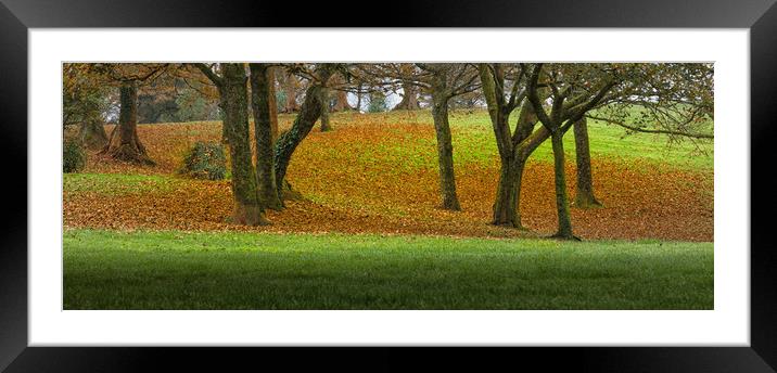 Autumn greens and orange Framed Mounted Print by Leighton Collins