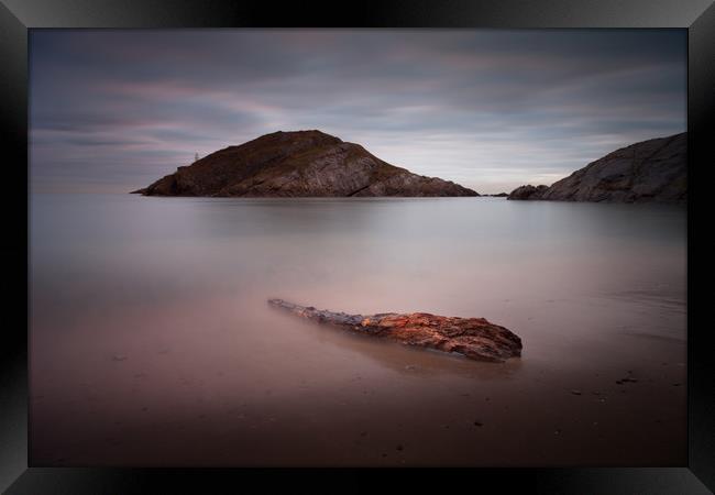 Driftwood on Mumbles beach Framed Print by Leighton Collins