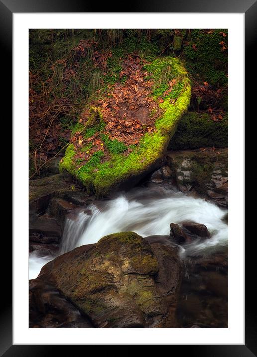 Moss covered stone Framed Mounted Print by Leighton Collins
