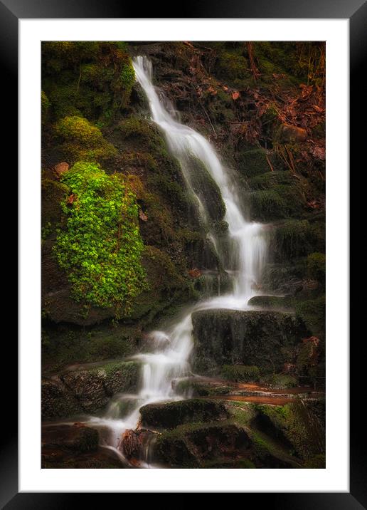 Small falls at Melincourt Brook Framed Mounted Print by Leighton Collins