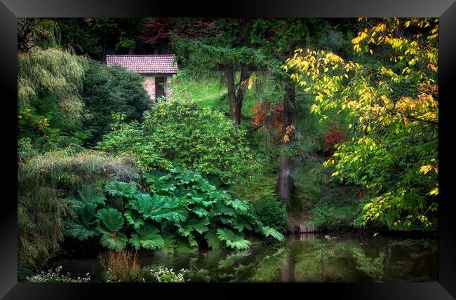 Clyne Park gardens Framed Print by Leighton Collins