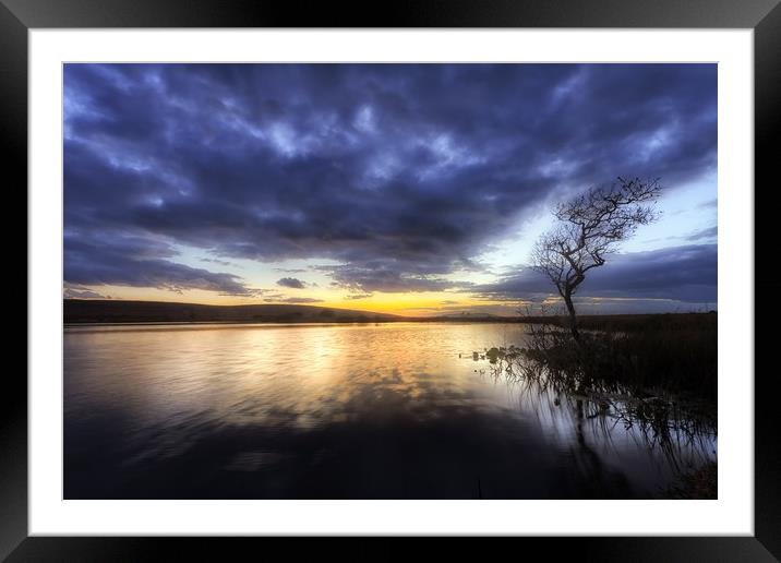 Broad Pool at sunset Framed Mounted Print by Leighton Collins