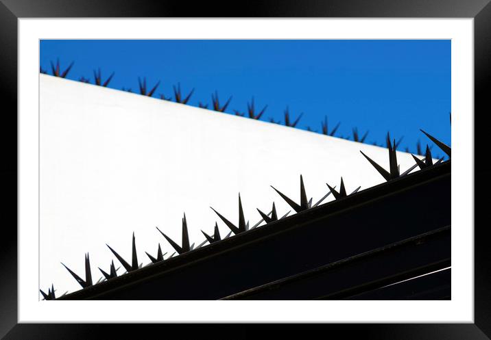 Anti climb spikes Framed Mounted Print by Leighton Collins