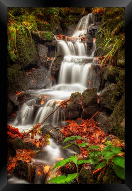 Clyne Gardens waterfall cascade Framed Print by Leighton Collins