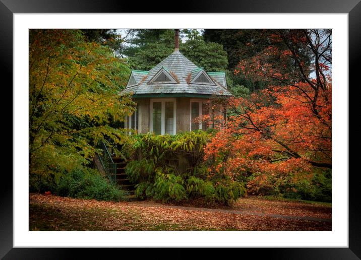 Autumn at Clyne Gardens Framed Mounted Print by Leighton Collins