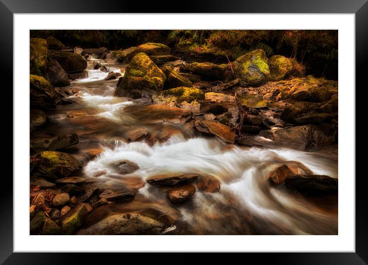 Melincourt Brook riverbed Framed Mounted Print by Leighton Collins