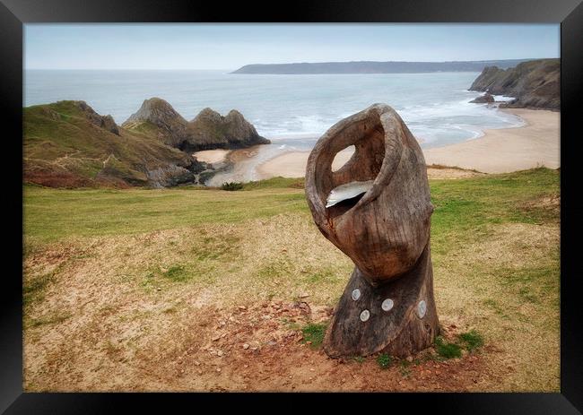 Shell Sculpture at Three Cliffs Bay Framed Print by Leighton Collins