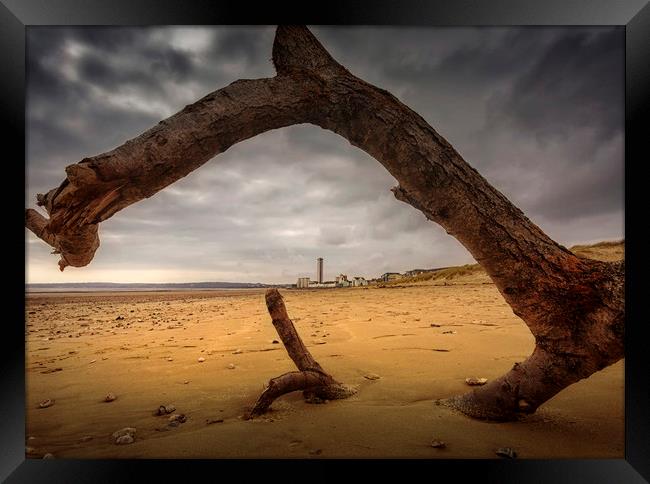 Driftwood on Swansea Bay Framed Print by Leighton Collins