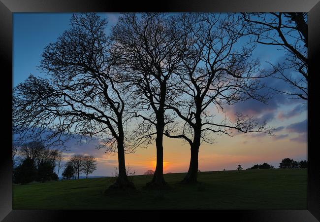 Ravenhill park sunset Framed Print by Leighton Collins
