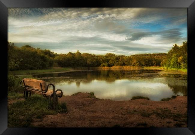 The lower lake at Penllergare woods Framed Print by Leighton Collins