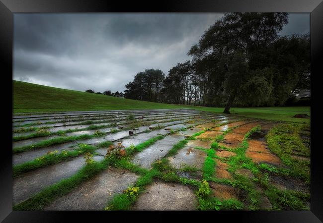 Ravenhill park in the rain Framed Print by Leighton Collins