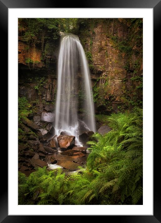 Waterfall and ferns at Melincourt Framed Mounted Print by Leighton Collins