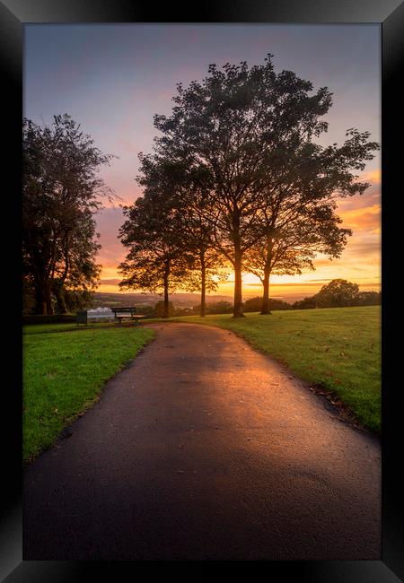 A path at dusk in Ravenhill park Framed Print by Leighton Collins
