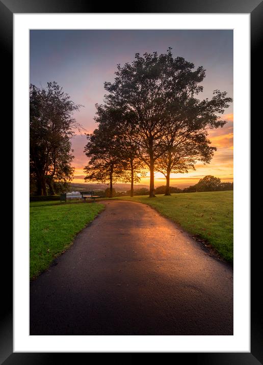 A path at dusk in Ravenhill park Framed Mounted Print by Leighton Collins