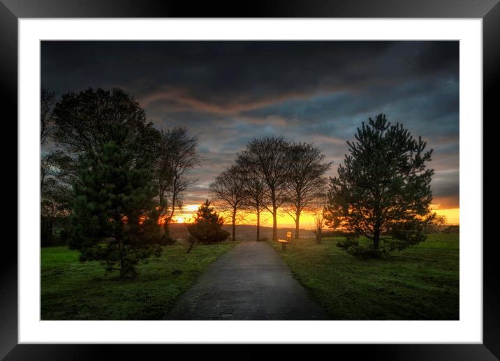 Evening at Ravenhill park Framed Mounted Print by Leighton Collins