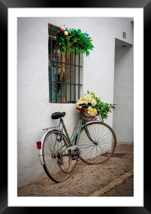 A bicycle in a back street Framed Mounted Print by Leighton Collins