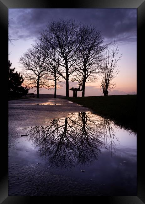 Dusk at Ravenhill park Framed Print by Leighton Collins