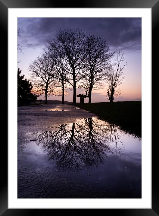 Dusk at Ravenhill park Framed Mounted Print by Leighton Collins