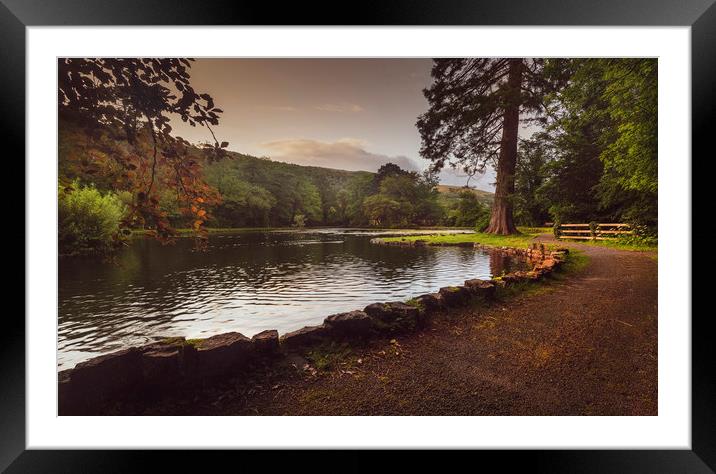 Craig y Nos Country park Framed Mounted Print by Leighton Collins