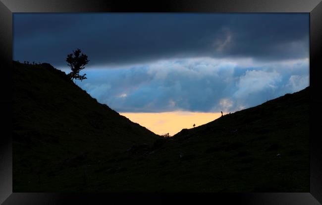 A lone tree on the Black Mountain Framed Print by Leighton Collins