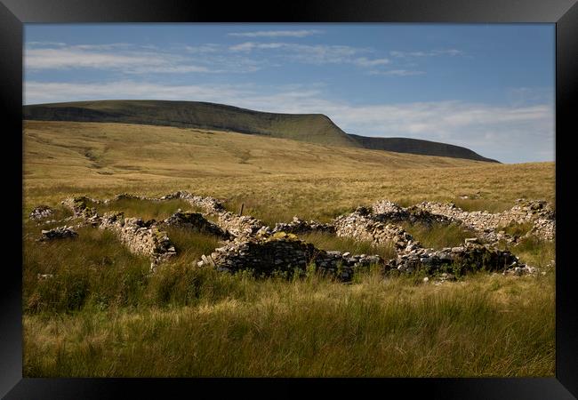 Farmhouse ruins and Moel Feity Framed Print by Leighton Collins