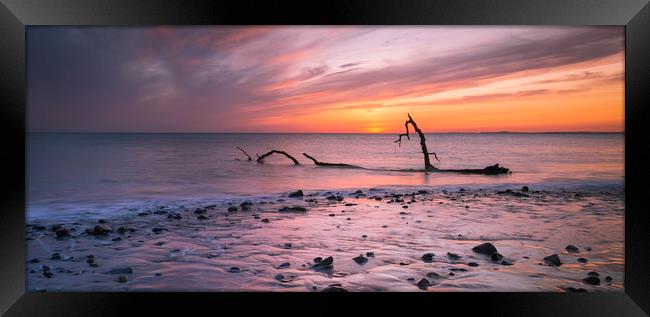 Driftwood on Sker Beach Framed Print by Leighton Collins