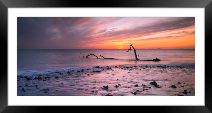Driftwood on Sker Beach Framed Mounted Print by Leighton Collins