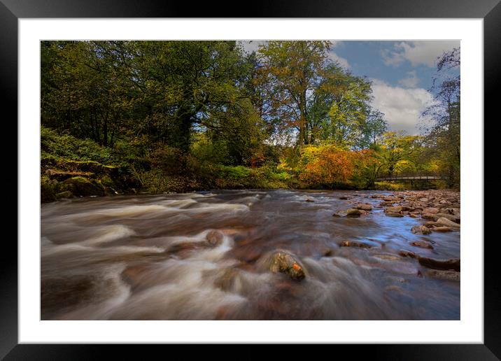 Autumn on the river Tawe Framed Mounted Print by Leighton Collins
