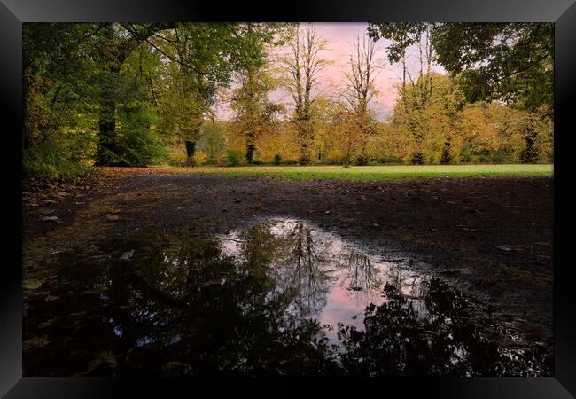 Autumn reflections in a field Framed Print by Leighton Collins