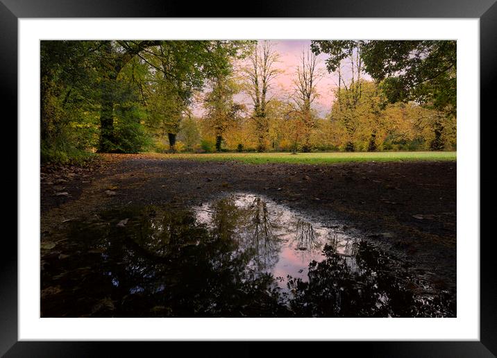 Autumn reflections in a field Framed Mounted Print by Leighton Collins