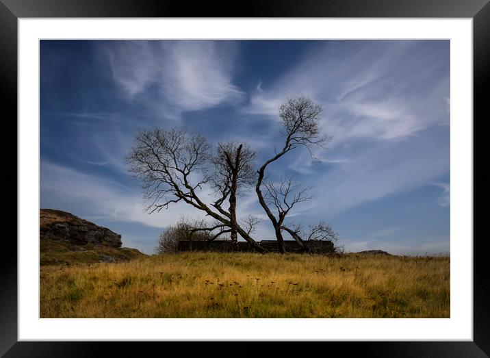 Old dead trees at Penwyllt Framed Mounted Print by Leighton Collins