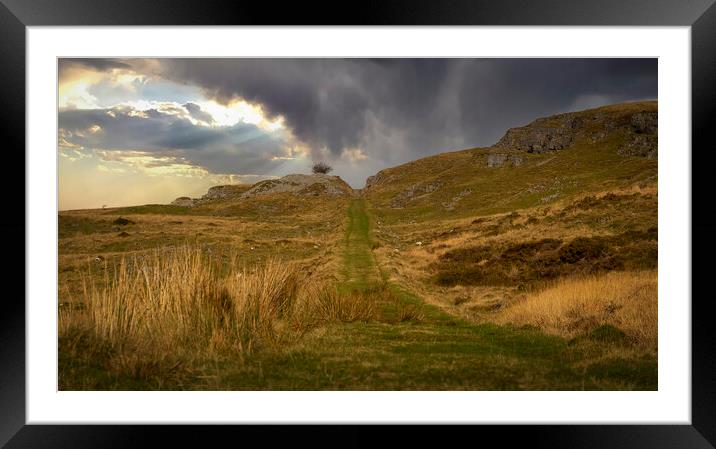 The path to the top Framed Mounted Print by Leighton Collins