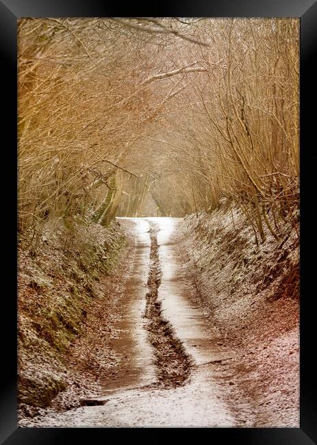 A country road in Winter Framed Print by Leighton Collins