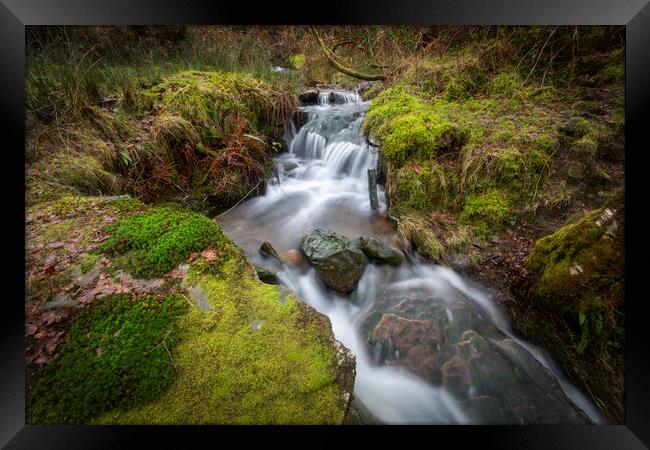 A mountain stream Framed Print by Leighton Collins