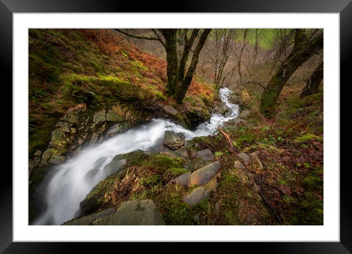 A large waterfall in a forest Framed Mounted Print by Leighton Collins