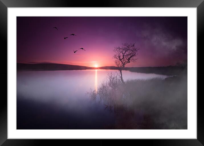 Sunset over Broad Pool Framed Mounted Print by Leighton Collins