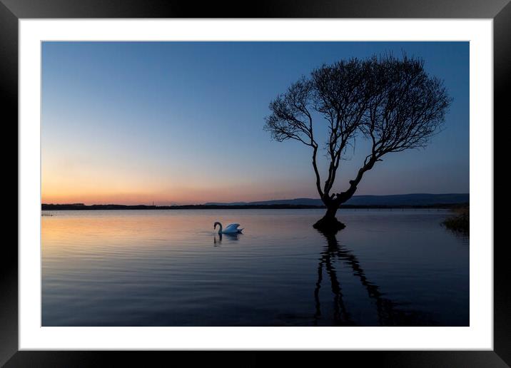 Kenfig Nature reserve and pool Framed Mounted Print by Leighton Collins