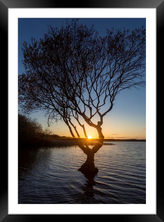 Kenfig pool sunset Framed Mounted Print by Leighton Collins