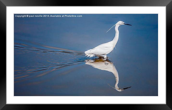 time for a little reflection Framed Mounted Print by paul neville