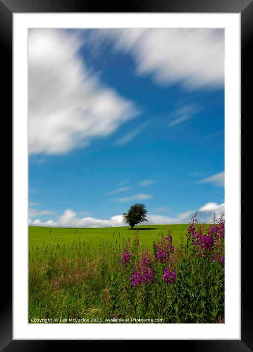 Tree in a field Framed Mounted Print by Les McLuckie