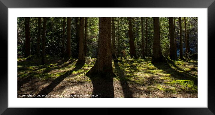 The Forest Floor Framed Mounted Print by Les McLuckie