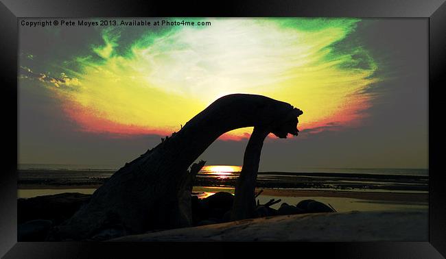 Driftwood # 5 Framed Print by Pete Moyes