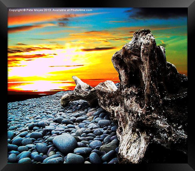 Driftwood in the Sunset#1 Framed Print by Pete Moyes