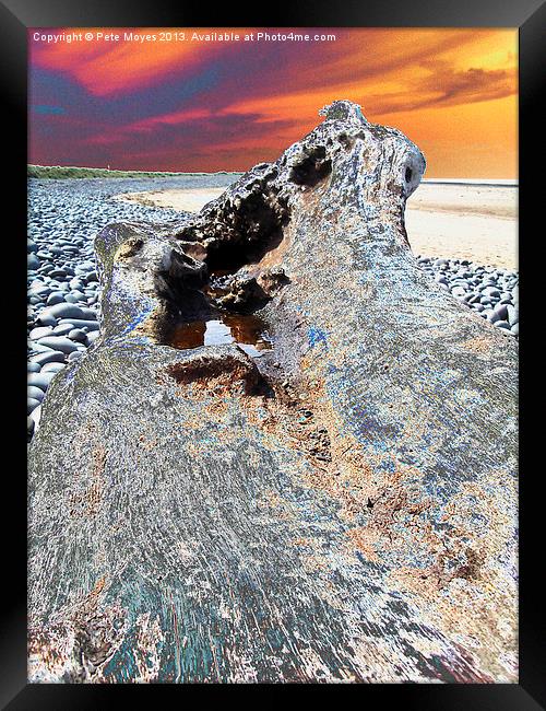 Driftwood in the Sunset#2 Framed Print by Pete Moyes